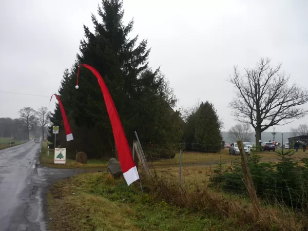 Zipfelmützen weisen den Weg