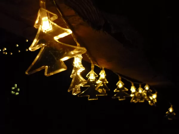 Lichterbäume